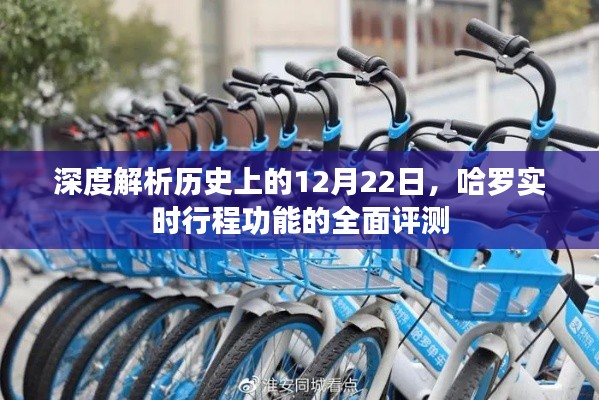 深度解析,哈罗实时行程功能全面评测与历史上的12月22日回顾