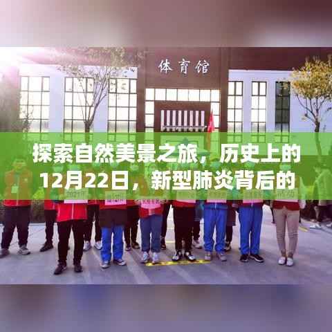 探索自然美景之旅，历史上的特殊日子与疫情下的宁静之旅