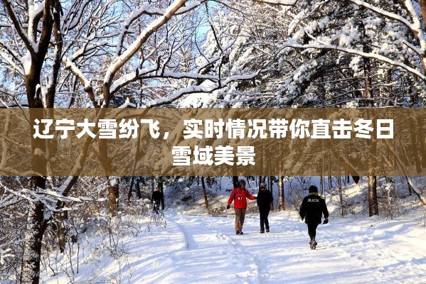 辽宁大雪纷飞，冬日雪域美景实时直击