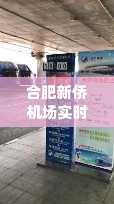 合肥新侨机场航班实时查询指南,从基础到精通的查询攻略