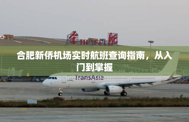 合肥新侨机场航班实时查询指南,从基础到精通的查询攻略