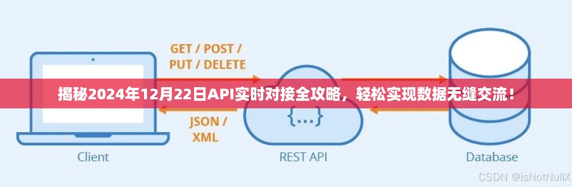 2024年API实时对接指南,实现数据无缝交流的轻松攻略