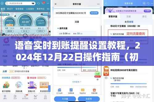 语音实时到账提醒设置教程,初学者与进阶用户操作指南(附日期,2024年12月22日)