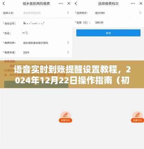 语音实时到账提醒设置教程,初学者与进阶用户操作指南(附日期,2024年12月22日)