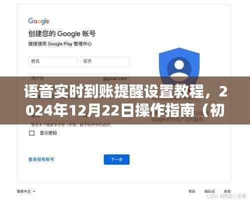 语音实时到账提醒设置教程,初学者与进阶用户操作指南(附日期,2024年12月22日)