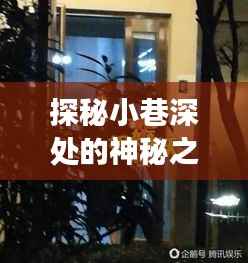 探秘小巷深处的神秘之门,门铃背后的故事与实时视频监控之旅揭秘