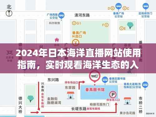 2024年日本海洋直播网站使用指南,实时观看海洋生态的入门与进阶全攻略