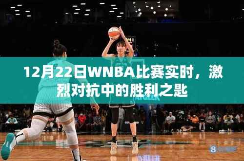 12月22日WNBA比赛激烈对抗,胜利之匙实时揭晓