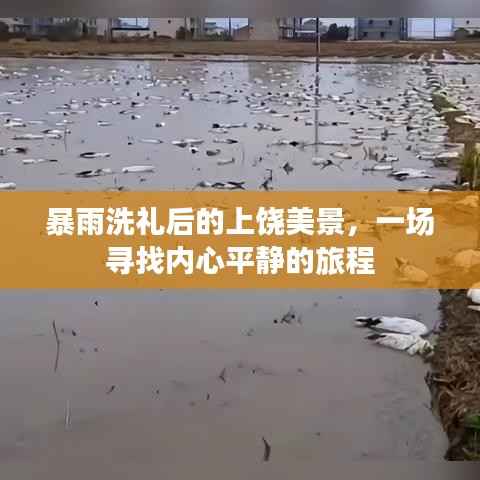 暴雨洗礼后的上饶,心灵平静之旅