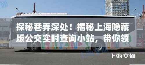 探秘上海隐藏版公交实时查询小站,领略公交新风尚的秘境之旅