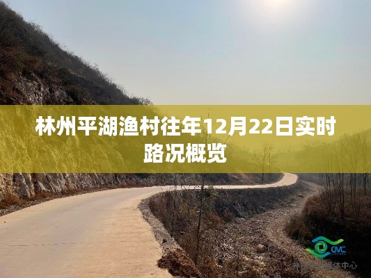 林州平湖渔村12月22日实时路况概览