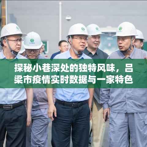 吕梁小巷独特风味探秘,疫情数据与特色小店的奇遇