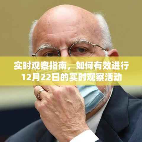 实时观察指南,有效参与12月22日实时观察活动全攻略