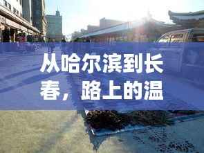 哈尔滨至长春之旅,温情与陪伴的旅程