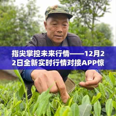 勇往直前 第2页