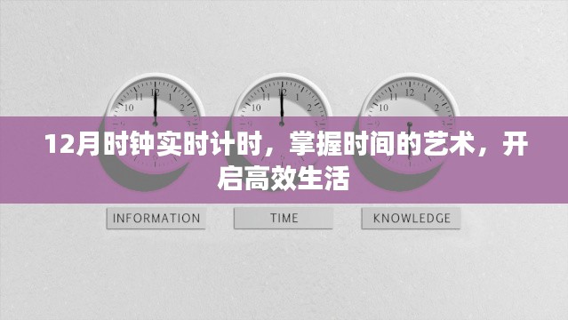掌握时间的艺术,高效生活的实时计时器开启