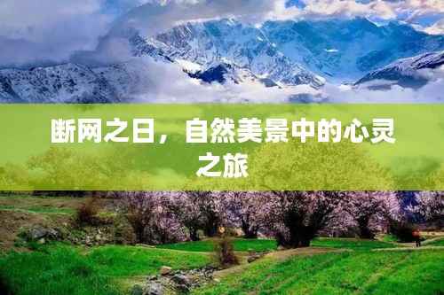 断网之日的自然美景心灵之旅探索