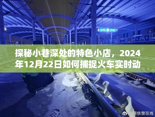 探秘小巷特色小店与火车实时动态线路捕捉——2024年12月22日攻略