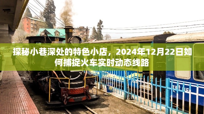 探秘小巷特色小店与火车实时动态线路捕捉——2024年12月22日攻略