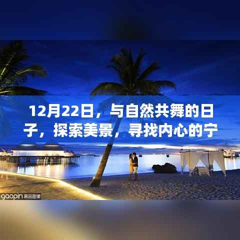 12月22日与自然共舞,探索美景的宁静之旅