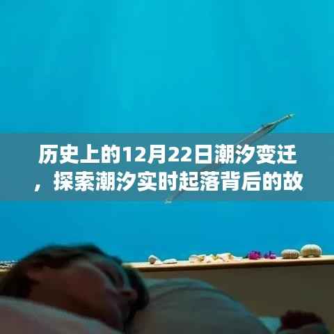 探索潮汐变迁,历史上的潮汐实时起落故事回顾 12月22日潮汐纪实