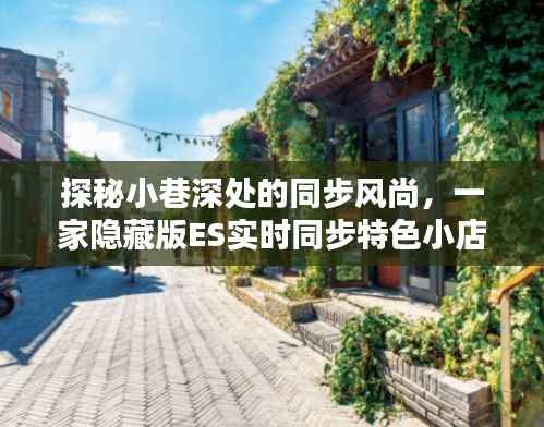 探秘小巷深处的隐藏版ES实时同步特色小店,同步风尚的魅力之旅
