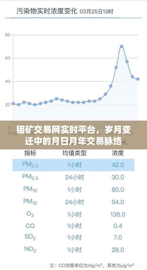钼矿交易网实时平台，月日月年交易脉络的岁月变迁