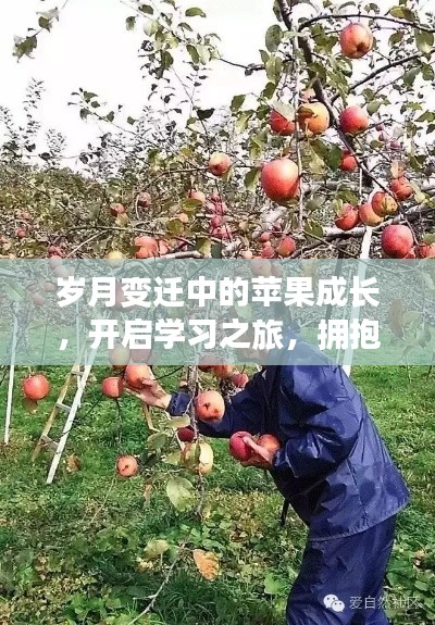 岁月变迁中的苹果成长之路,开启自信学习之旅,拥抱成就的力量