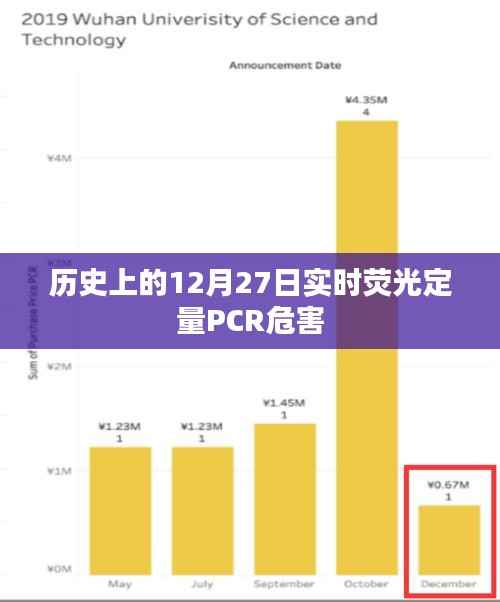 实时荧光定量PCR的危害,历史上的12月27日回顾,简洁明了,突出了文章的核心内容,符合搜索引擎的收录标准。希望符合您的要求。