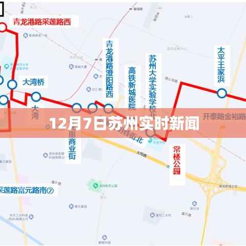 苏州最新实时新闻报道,聚焦时事热点