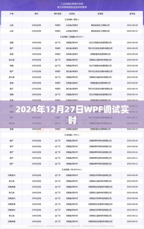 WPF实时调试技术解析及实践指南（适用于2024年）