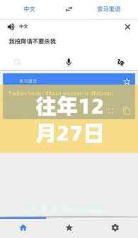 谷歌实时翻译在特定日期的使用问题解析