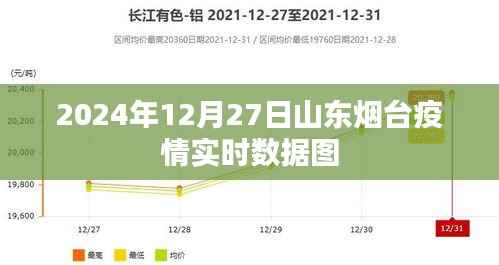 山东烟台疫情实时数据图（最新更新至2024年12月）