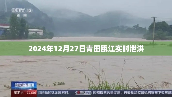 青田瓯江实时泄洪通知,关注最新动态(日期,XXXX年XX月XX日)