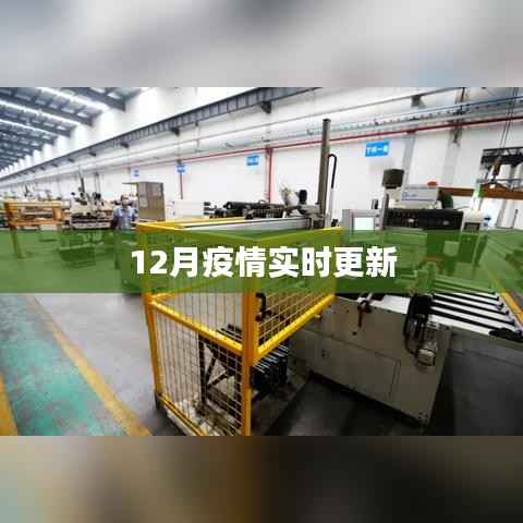 最新疫情动态，实时更新数据报告