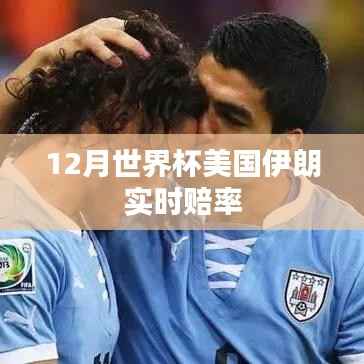 世界杯决赛圈美国与伊朗实时赔率动态分析