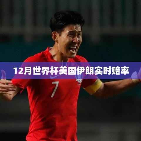 世界杯决赛圈美国与伊朗实时赔率动态分析