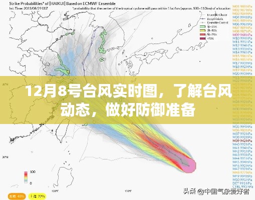 台风实时动态,12月8号防御指南及实时路径图