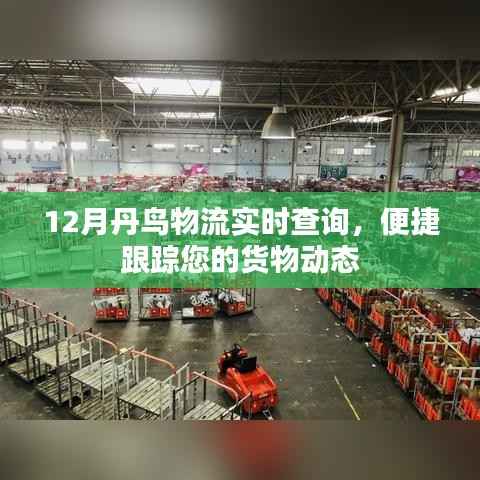 丹鸟物流实时查询,货物动态一键跟踪