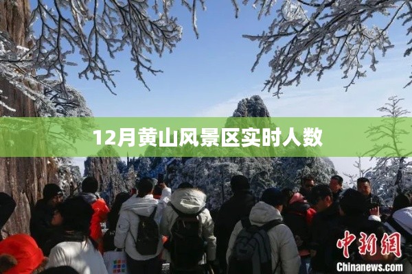 黄山风景区12月实时游客数量统计