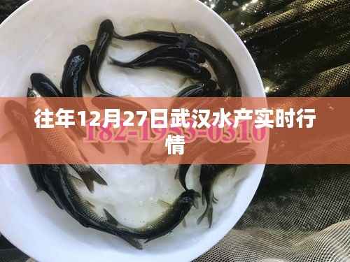 武汉水产市场历年12月27日实时行情概览