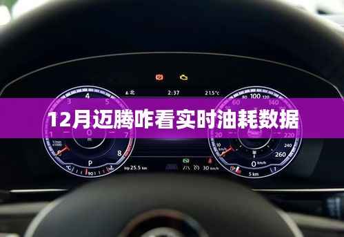 迈腾实时油耗查看指南,12月必备知识
