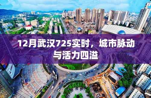 武汉城市脉动,活力四溢的十二月实时观察