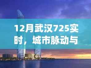 武汉城市脉动,活力四溢的十二月实时观察