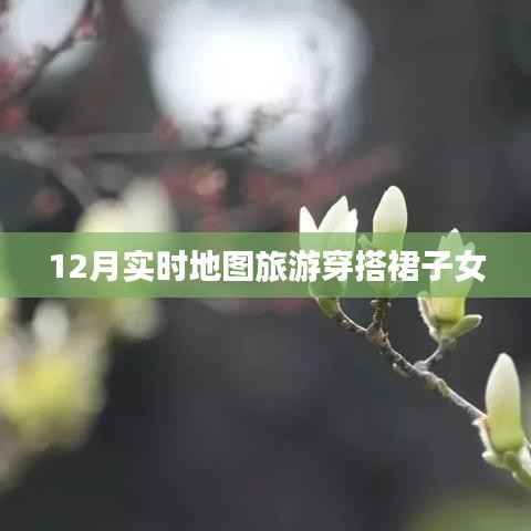 12月旅游穿搭指南,时尚裙装与实时地图的完美结合