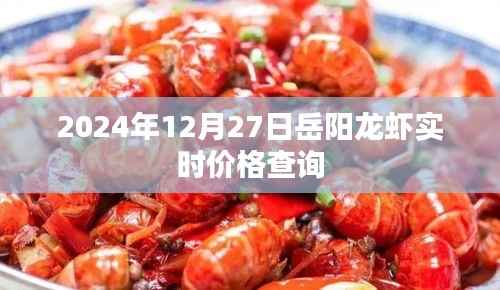 岳阳龙虾最新实时价格查询(2024年12月27日)