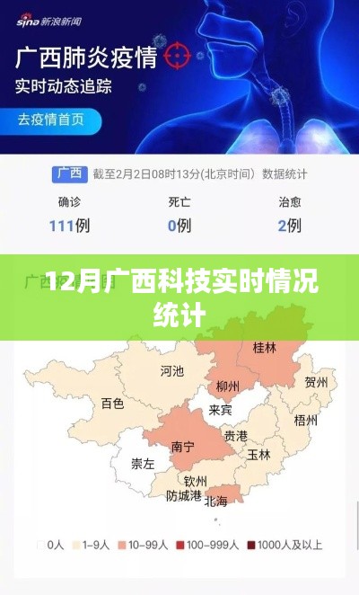 广西科技动态统计报告,最新十二月数据解读