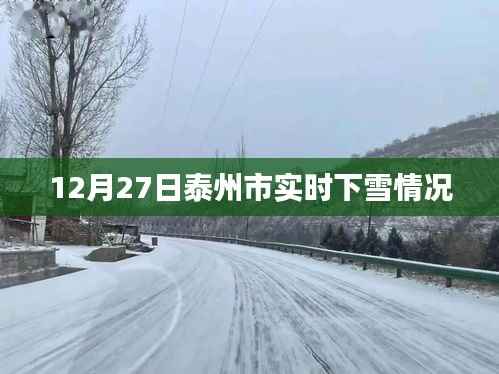 泰州实时雪况更新,最新下雪动态