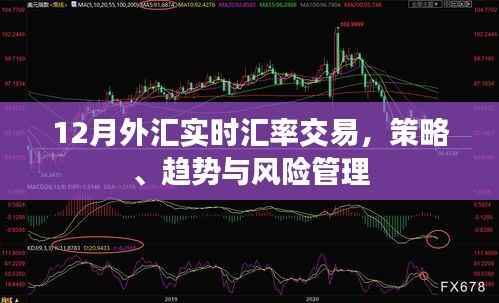 外汇实时汇率交易策略与风险管理解析