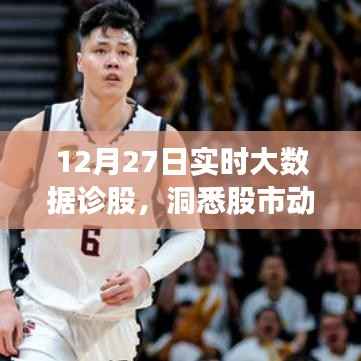 12月27日实时大数据深度诊股,洞悉股市动态